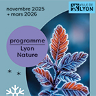 Programme des activités