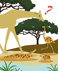 Illustration de plusieurs animaux dans un d�cor de savane. On voit un crocodile, un flamand rose et une tortue avec un pelage de girafe. Il y a aussi une girafe mais sans pelage, avec un gros point d�interrogation � c�t� d�elle.