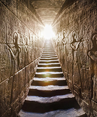 PLANTES SACREES DES PHARAONS PLANTES SACREES DES PHARAONS