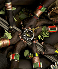 PLANTES SACREES D'AFRIQUE PLANTES SACREES D'AFRIQUE