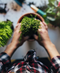 ateliers adultes lyon nature