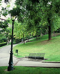 ILLUSTRATION_JARDIN PLANTES ET CHARTREUX.jpg ILLUSTRATION_JARDIN PLANTES ET CHARTREUX.jpg
