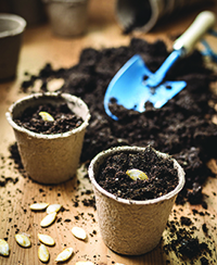 ateliers adultes lyon nature ateliers adultes lyon nature