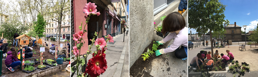 visite activit atelier evenement sortie nature animaux plantes parc tte d'or zoo jardin botanique lyon muse beaux arts