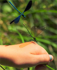 visite activit atelier evenement sortie nature animaux plantes parc tte d'or zoo jardin botanique lyon