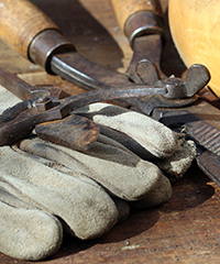 atelier parc tte d'or jardin botanique lyon