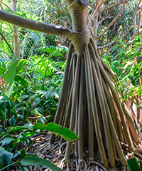 visite activit atelier evenement sortie nature animaux plantes parc tte d'or zoo jardin botanique lyon