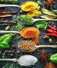 POIVRE EPICES SAVEURS LOINTAINES POIVRE EPICES SAVEURS LOINTAINES