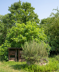 visite activit atelier evenement sortie nature animaux plantes parc tte d'or zoo jardin botanique lyon