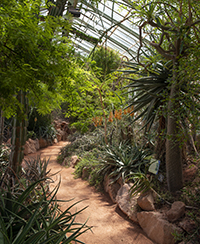 visite activit atelier evenement sortie nature animaux plantes parc tte d'or zoo jardin botanique lyon muse beaux arts