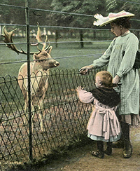 Photo ancienne représentant une dame et sa fille en train de donner à manger à un daim à travers un grillage au Parc zoologique de Lyon Photo ancienne représentant une dame et sa fille en train de donner à manger à un daim à travers un grillage au Parc zoologique de Lyon