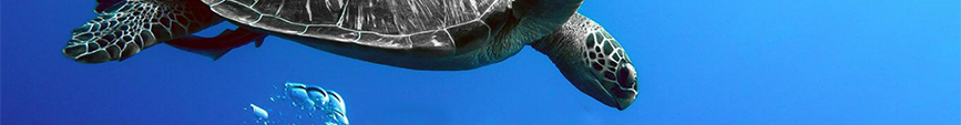 fte science lyon nature
