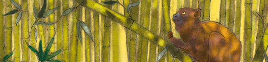 bandeau image d'une illustration d'une forêt de bambou avec un animal en premier plan