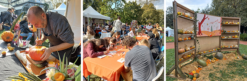 festival courges festival courges