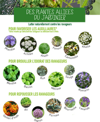Document_aide_visite Document_aide_visite