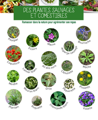 visite activité atelier evenement sortie nature animaux plantes parc tête d'or zoo jardin botanique lyon visite activité atelier evenement sortie nature animaux plantes parc tête d'or zoo jardin botanique lyon