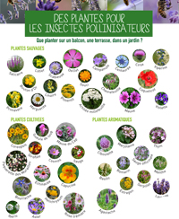 visite activité atelier evenement sortie nature animaux plantes parc tête d'or zoo jardin botanique lyon visite activité atelier evenement sortie nature animaux plantes parc tête d'or zoo jardin botanique lyon