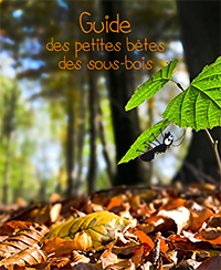 visite activité atelier evenement sortie nature animaux plantes parc tête d'or zoo jardin botanique lyon visite activité atelier evenement sortie nature animaux plantes parc tête d'or zoo jardin botanique lyon