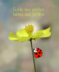 Document_aide_visite Document_aide_visite