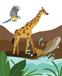 Animation scolaires Zoo lyon Animation scolaires Zoo lyon