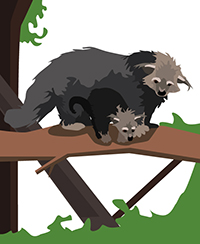 Animation scolaires Zoo lyon Animation scolaires Zoo lyon
